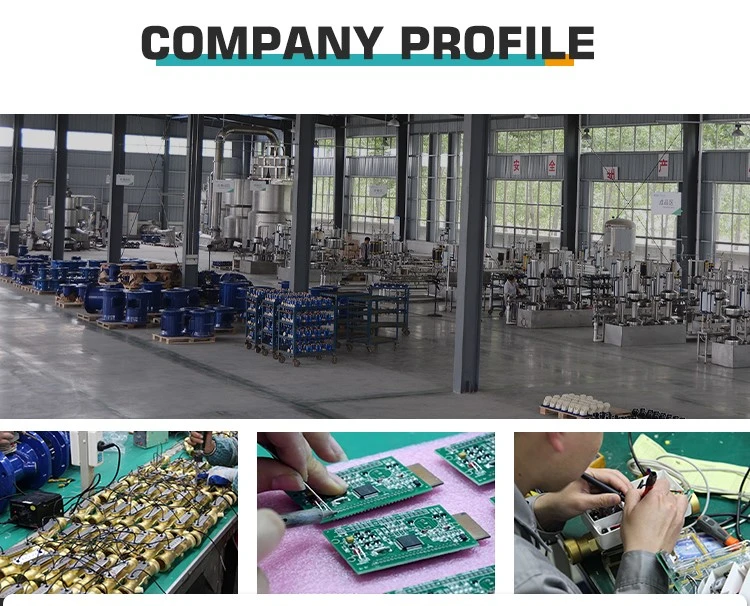 company profile company profile